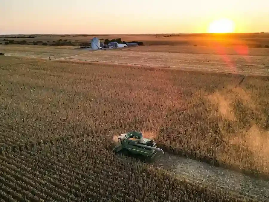 Agricultural pesticide exposure linked to childhood cancers, study says