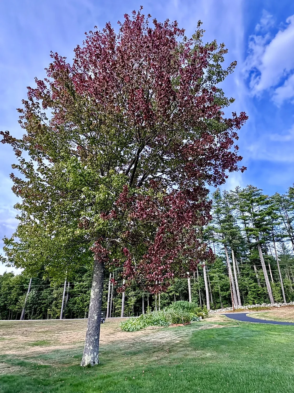 Leaf-peeping is almost here, but don’t sweat the details