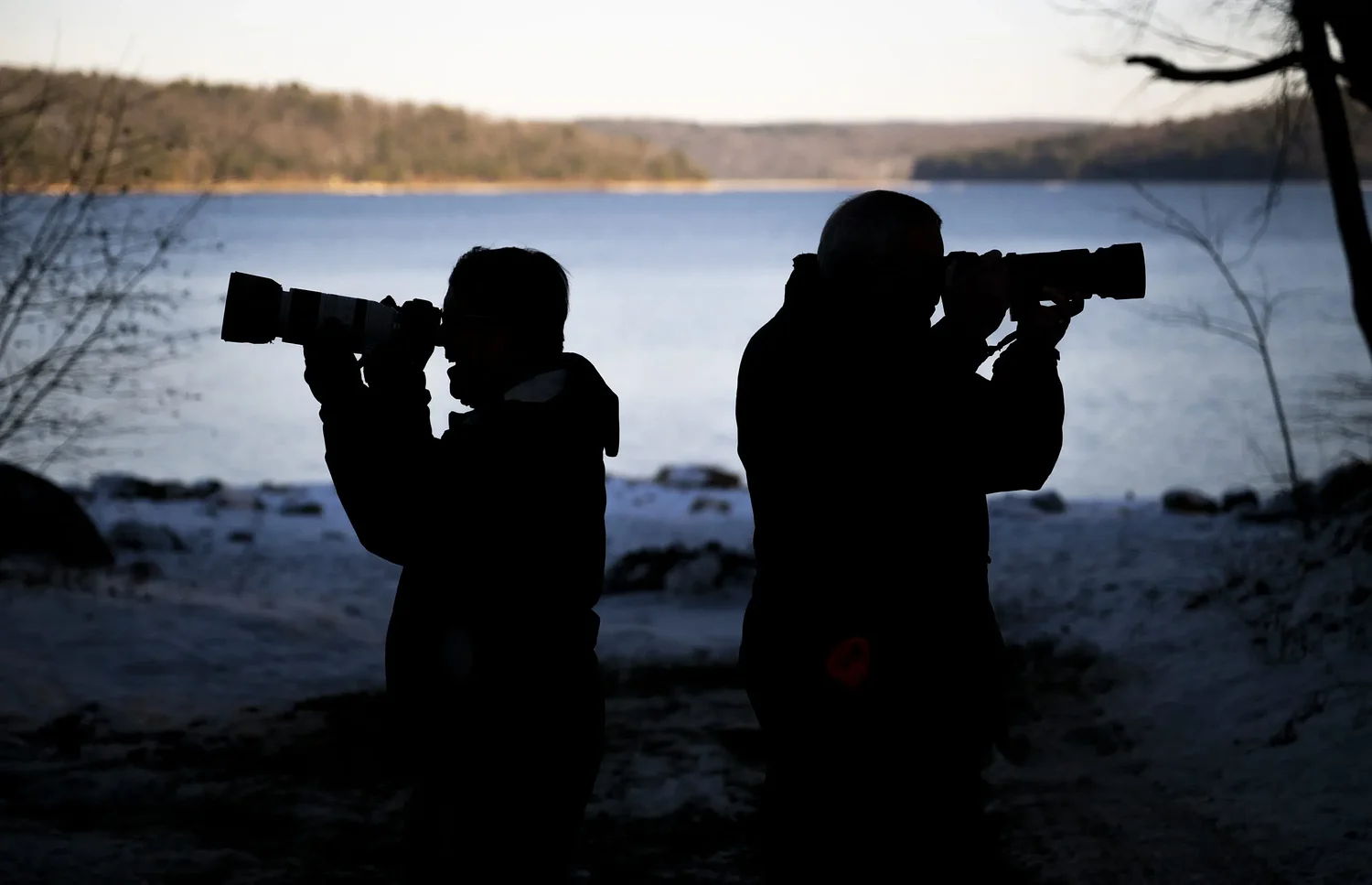 A shared lens: Belchertown’s Quabbin Photo Group keeps a legacy of nature education in focus