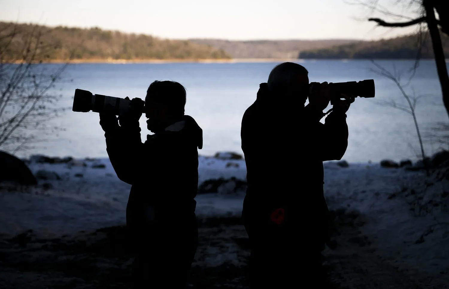A shared lens: Belchertown’s Quabbin Photo Group keeps a legacy of nature education in focus