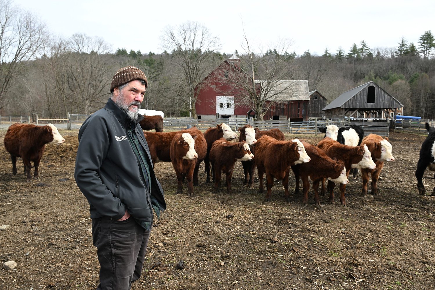 Valley Bounty: Steer-ing toward sustainability: Grass-fed beef and conservation go hand in hand at Bascom Hollow Farm