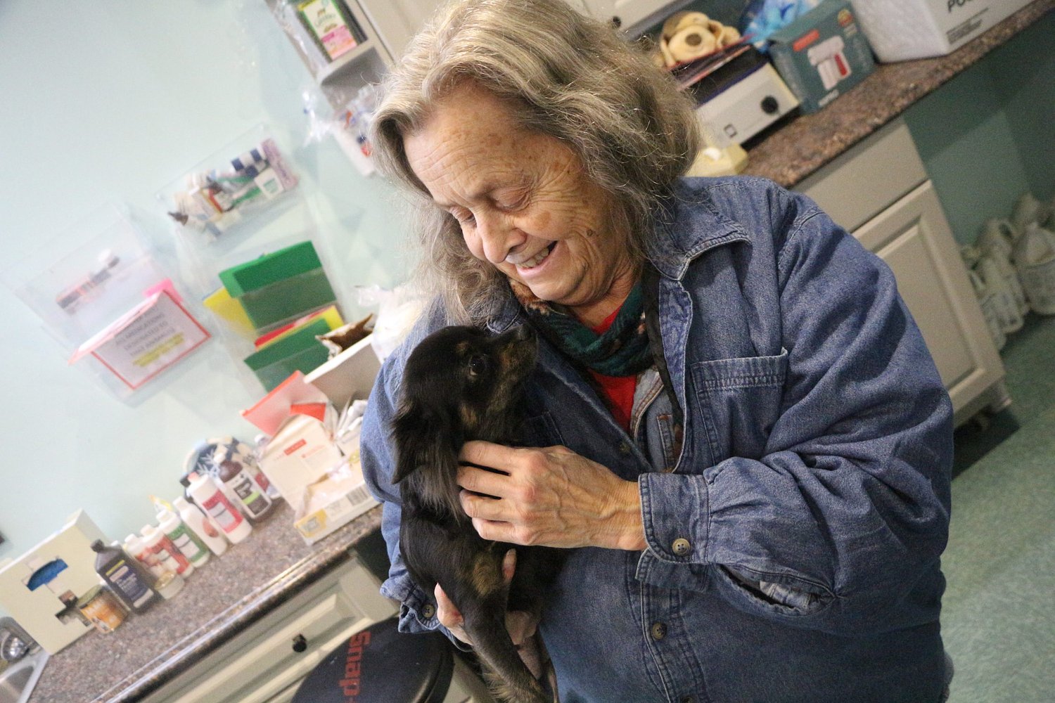 Bill to codify pregnancy and lactation as grounds for placing animal in foster care gains traction with Gov. Ayotte, advocates