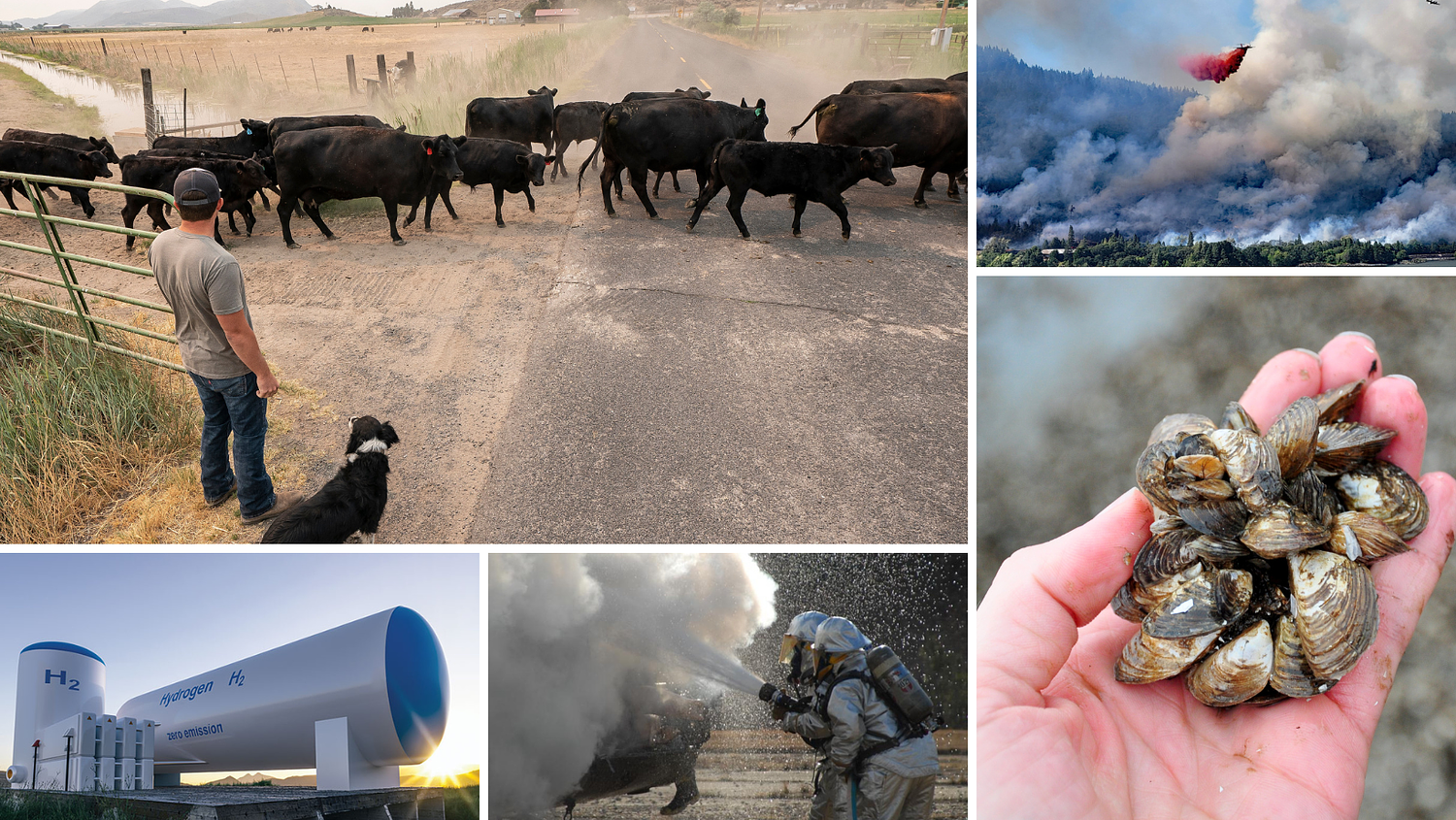 10 biggest environmental stories of 2023