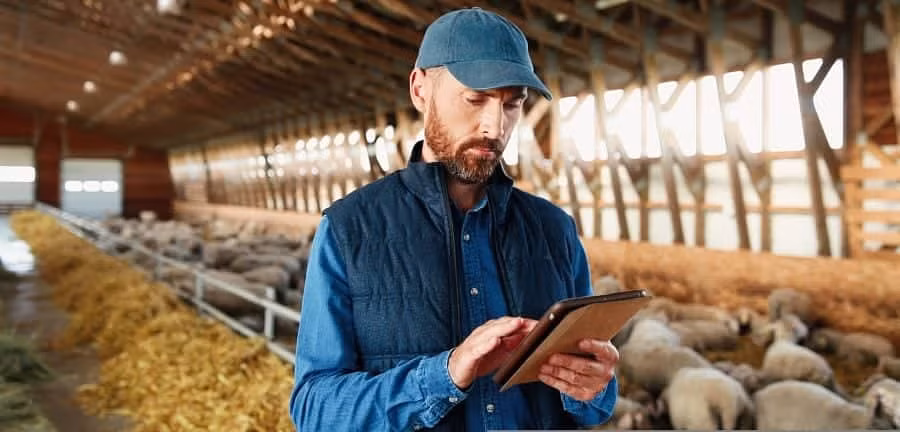 Best Farm Loans in 2025: 5 Essential Things You Need to Know
