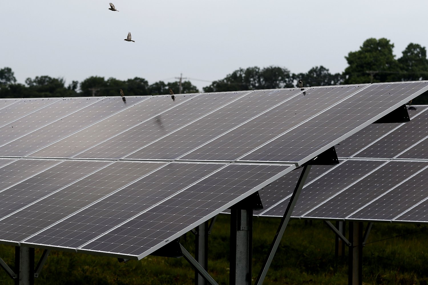 McHenry County Board chairman breaks ties to approve 2 solar farms