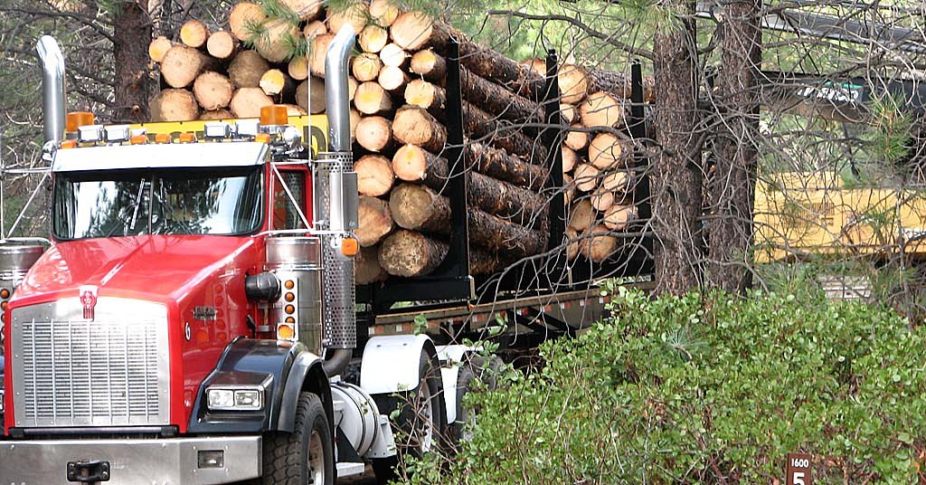 Experts say Trump logging mandate would increase wildfire damage