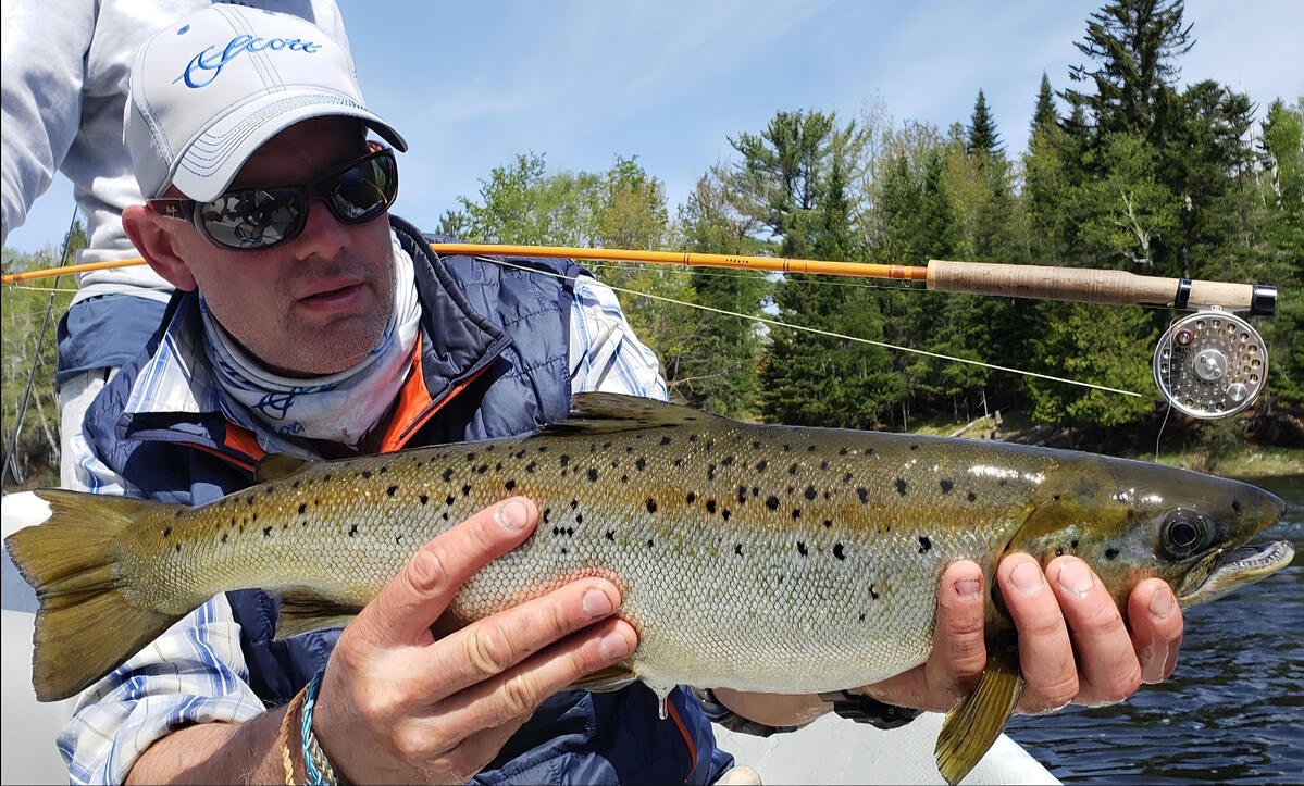 What’s the best fly in Maine for trout, salmon and bass?