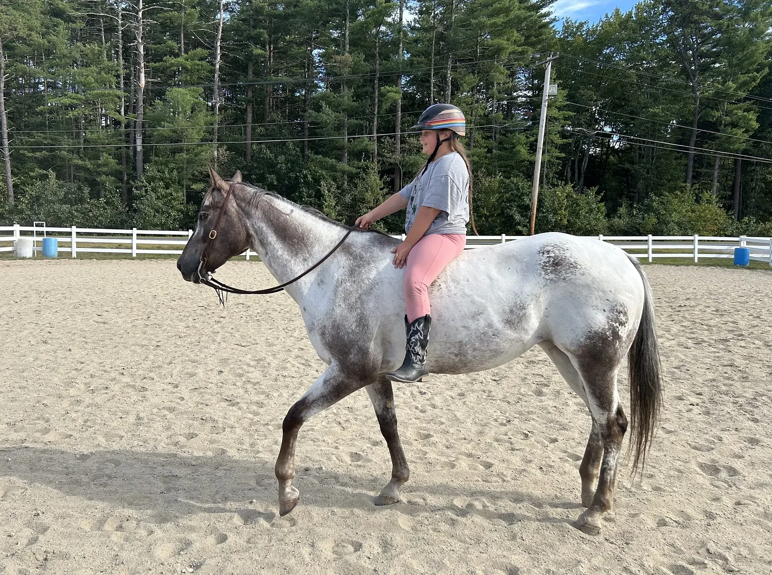Orange’s Crimson Acres Equestrian Center marks 50th anniversary