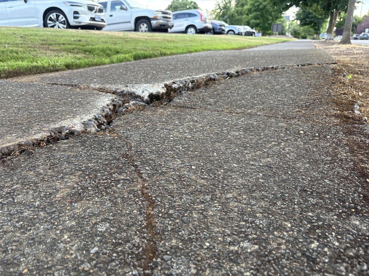 A smoother path ahead? Eugene staff present strategies to ramp up sidewalk repairs