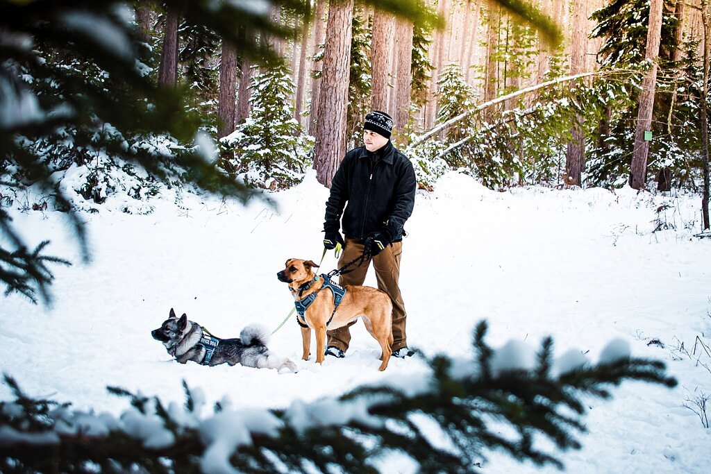These 7 tips will get your dog ready for a winter hike