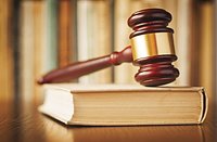 Rock Falls man pleads guilty to battering officer, sentenced to probation