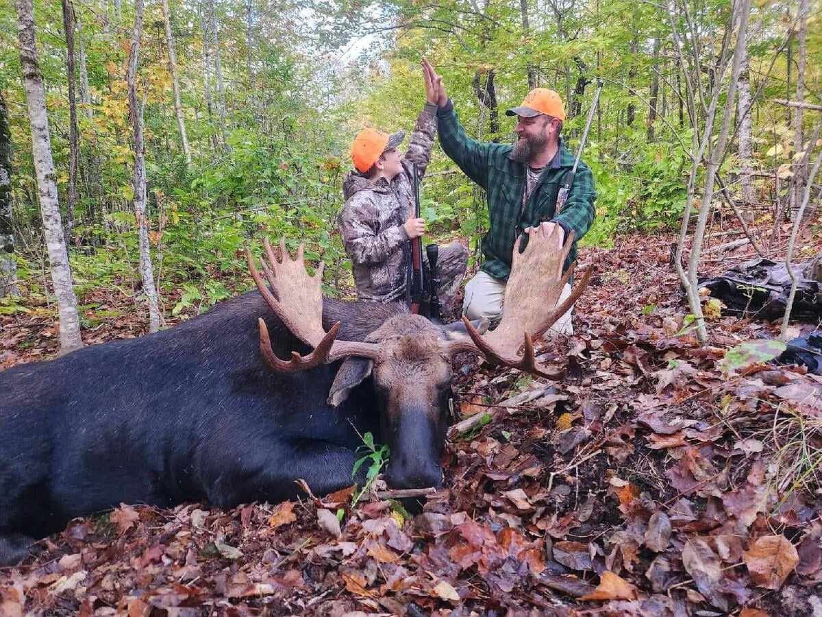 6 videos every Maine moose hunter should watch before the season