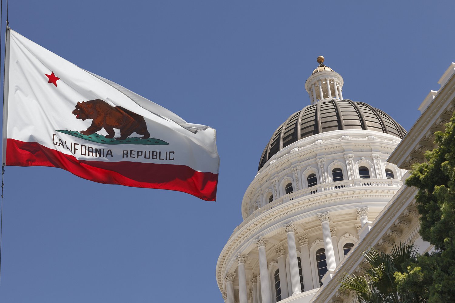 Anti-Monopoly Bill Hits Make-or-Break Moment in California