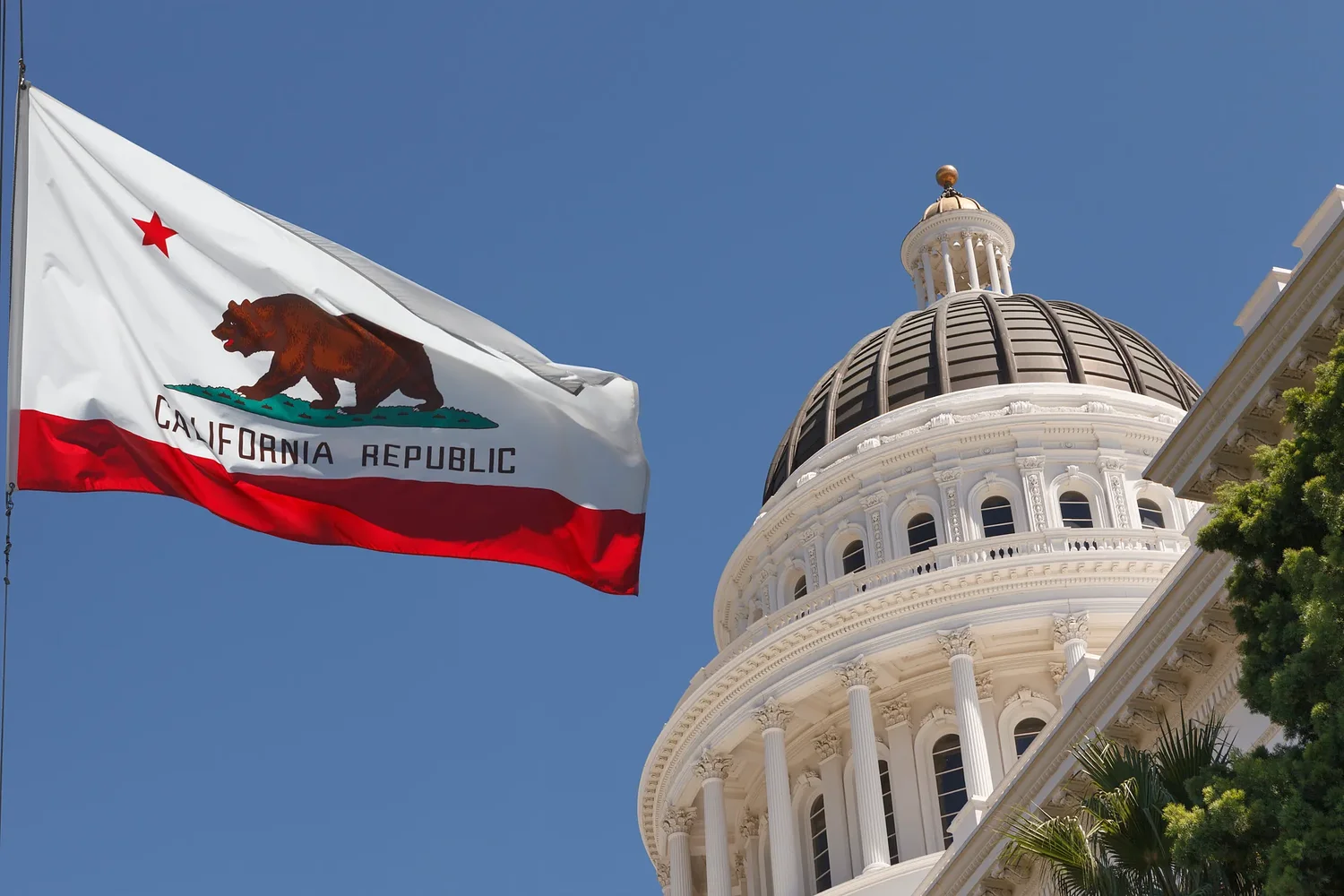 Anti-Monopoly Bill Hits Make-or-Break Moment in California