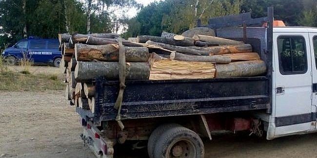 Transport ilegal de lemn, depistat: polițiștii au confiscat marfa