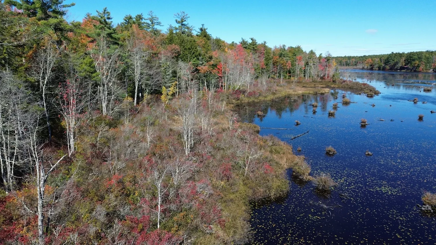 Mount Grace conserves 200 acres at Eagleville Barrens in Orange