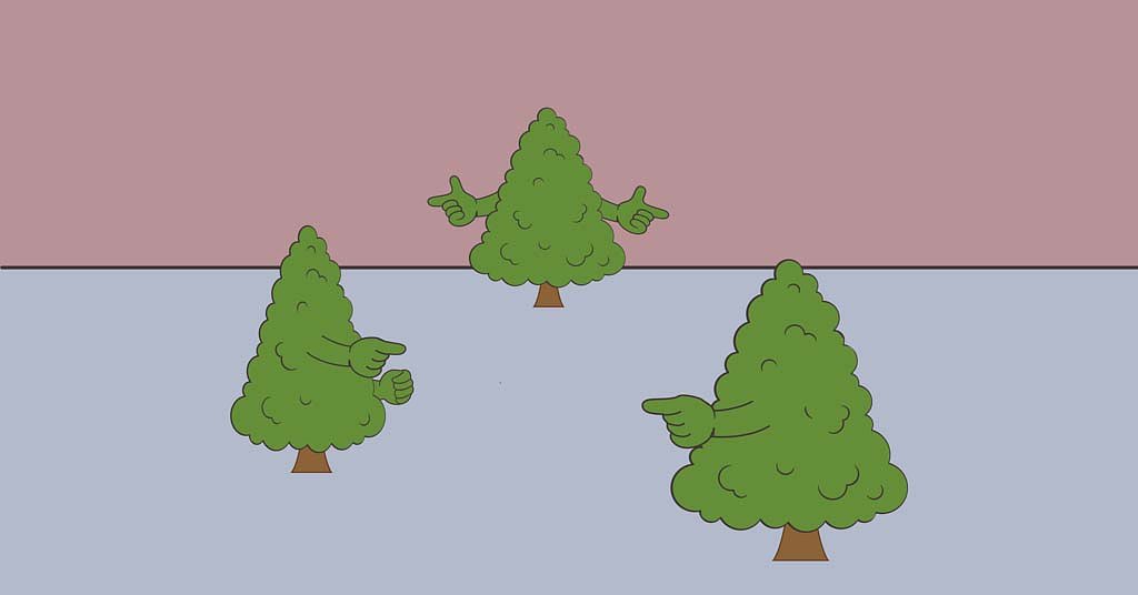 'Legacy' forests. 'Restoration' logging. The new jargon of conservation is awash in ambiguity. And politics