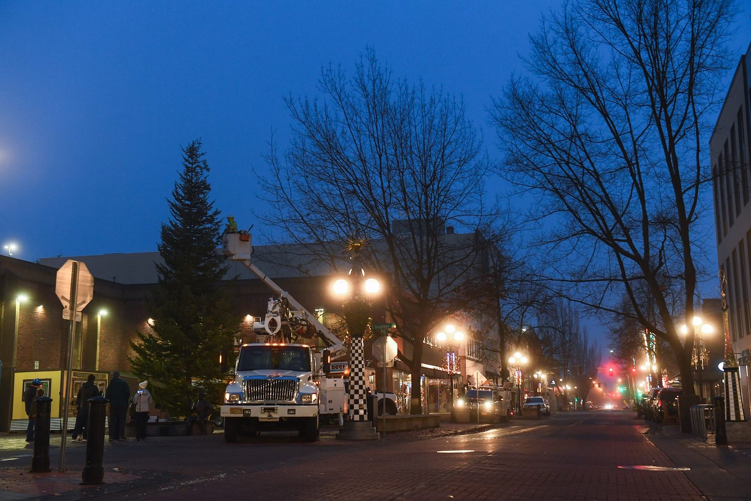30-foot grand fir goes up in Kesey Square