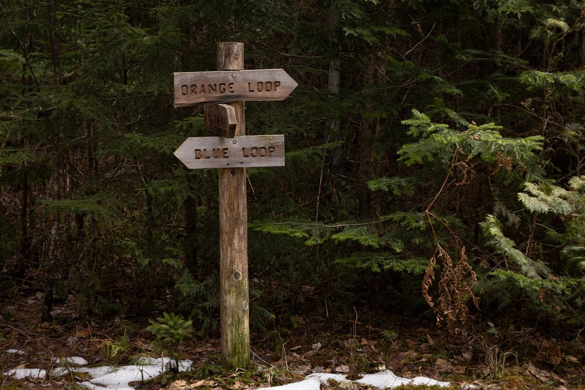 This midcoast Maine preserve is ideal for spotting spring wildlife