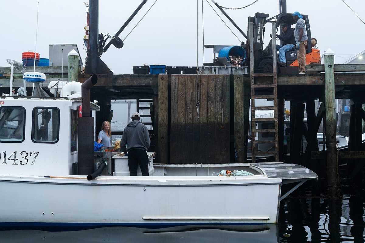 Child labor law case threatens Maine lobster industry