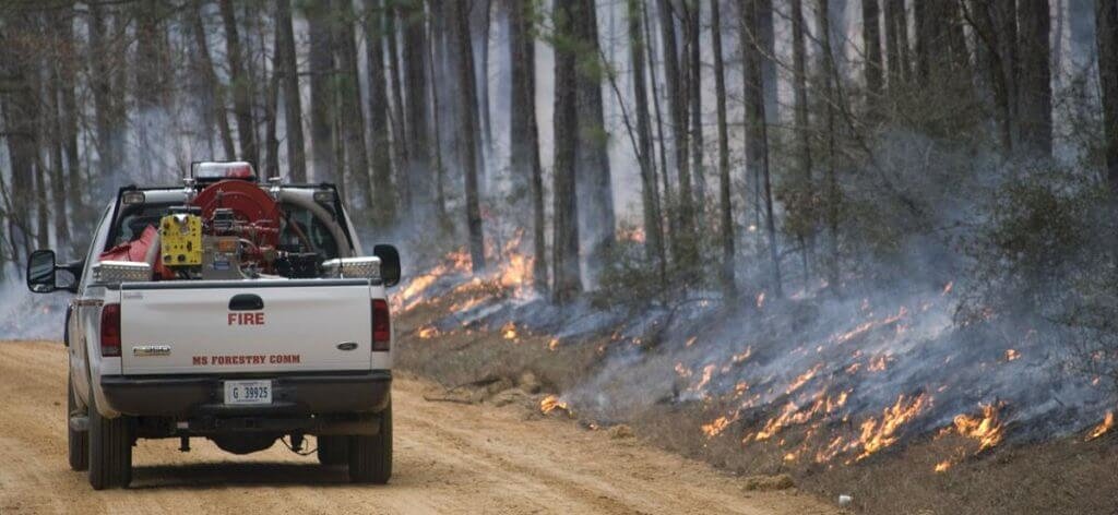 Carroll County and state officials working to contain one of largest wildfires in Mississippi history