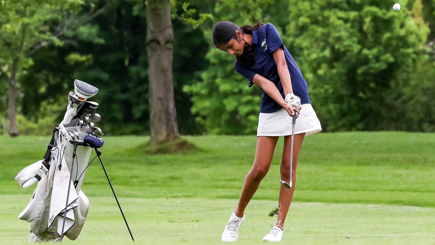 All-Skyland Conference girls golf selections, 2026