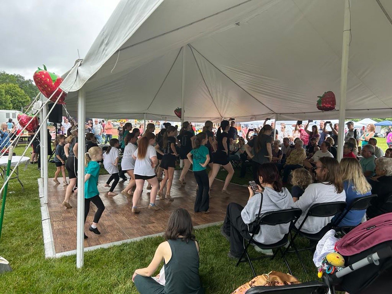 Medina’s Strawberry Arts Fest features live music, exotic animals and 80 vendors