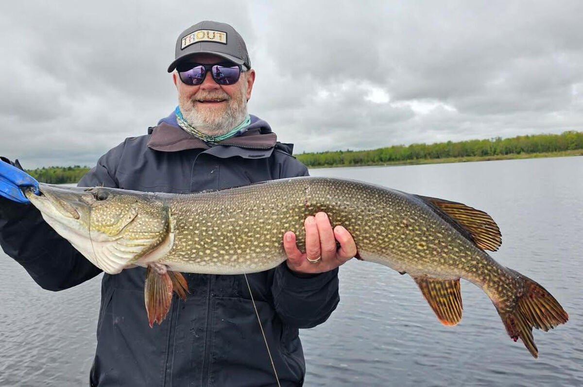 The state hates these fish, but fishermen love them