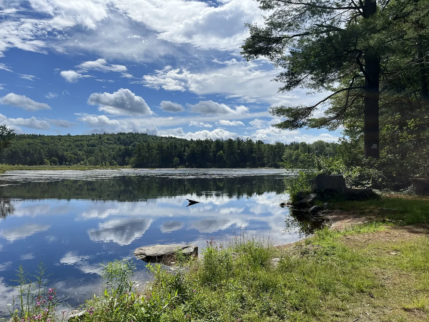 Earth Matters: From millstones to mudflats: A story of two dams