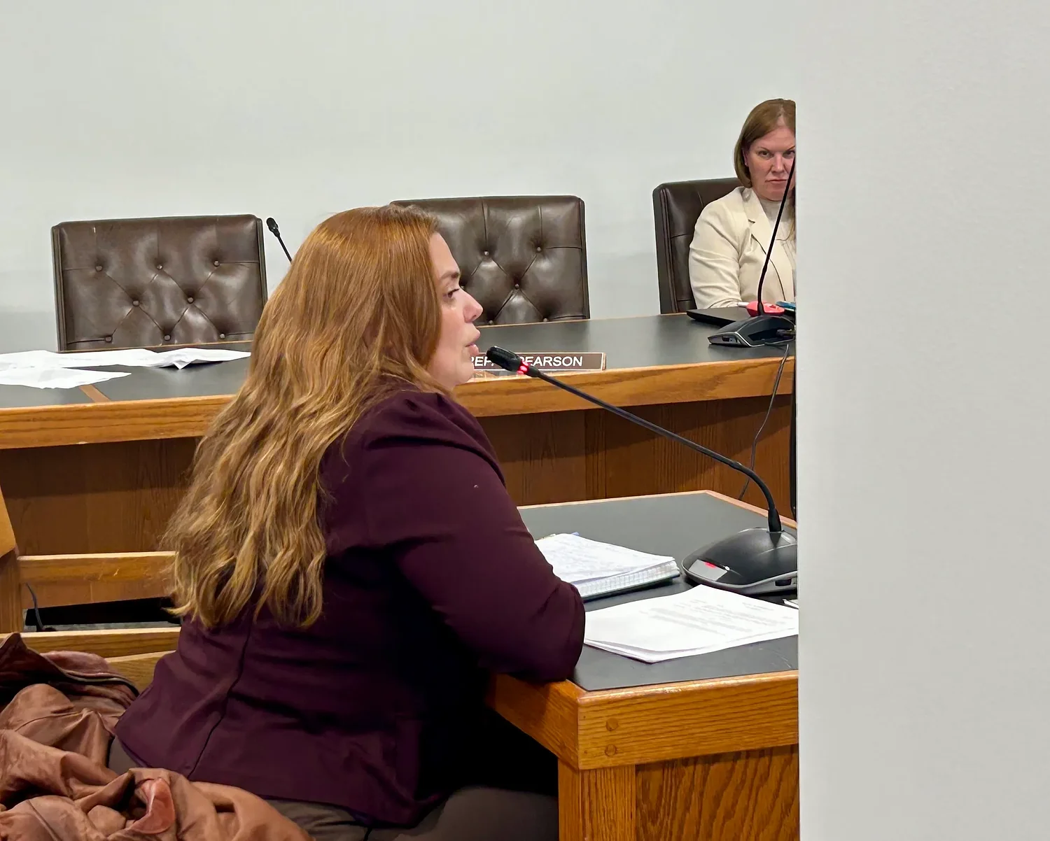 Oversight or attack?: Attempt to investigate Coalition Against Domestic and Sexual Violence called a 'personal vendetta'