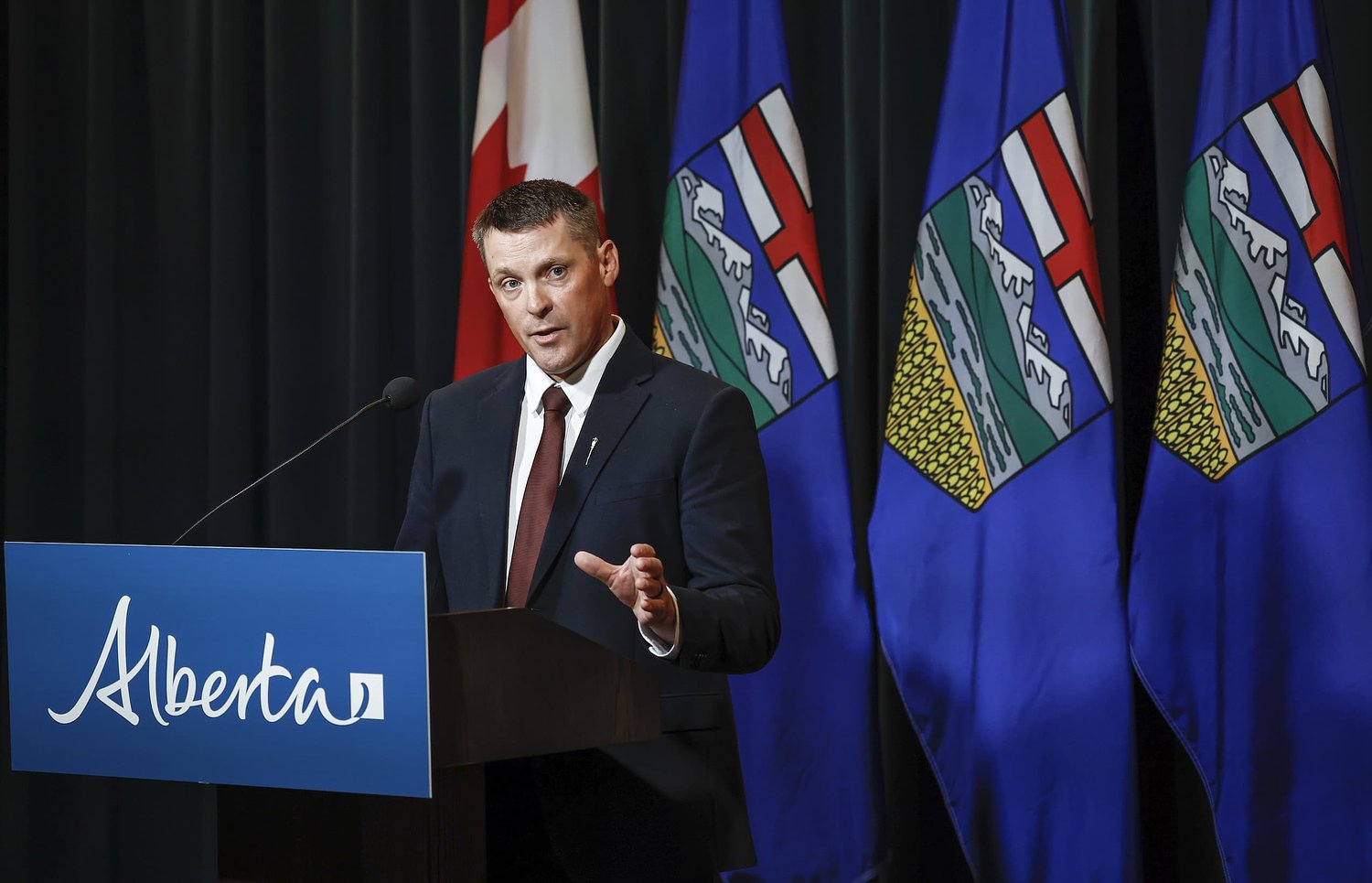 Alberta’s finance minister is also a rancher. Here’s how he receives taxpayer dollars — off public lands