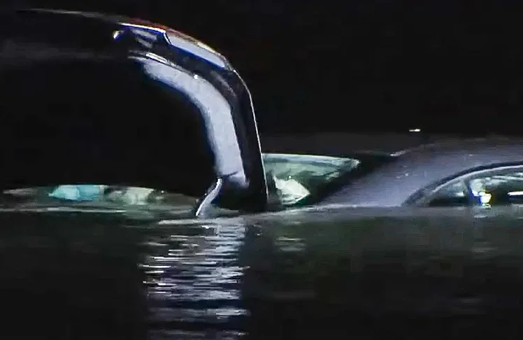 Teen Girl Who Died After Car Rolls Into Lake Washington Identified 