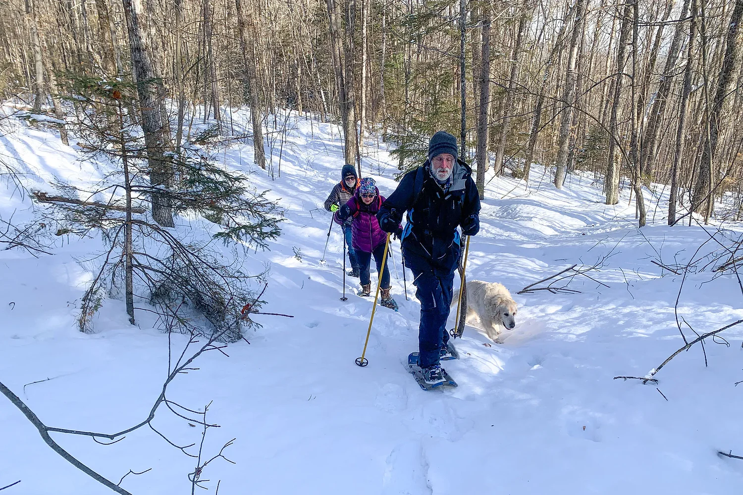 Newbury voters to decide on 127-acre land gift and property sale