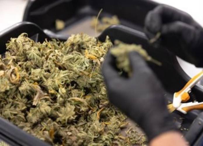 In 2025, New Hampshire made no movement on marijuana