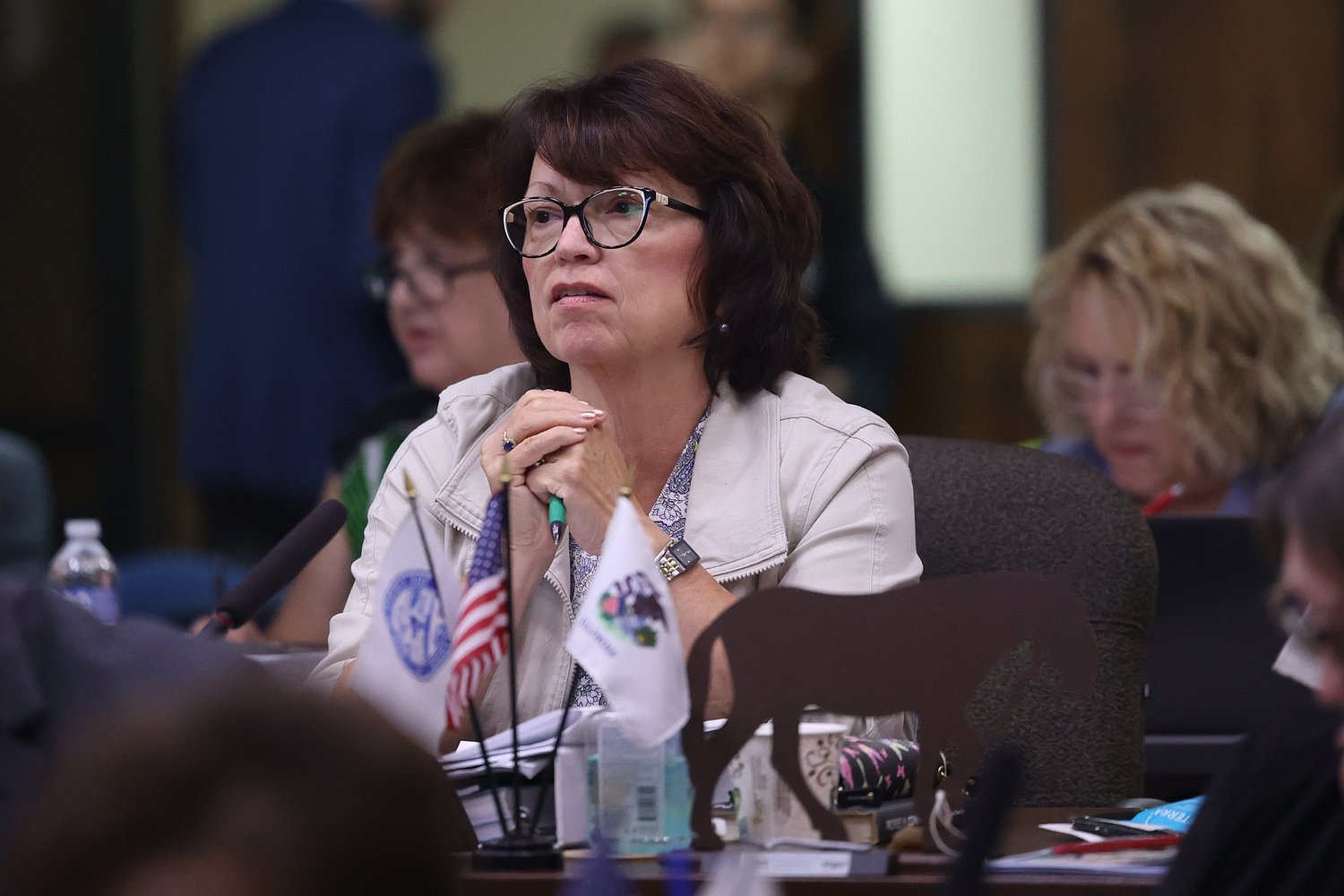 Will County Board member accused of illegally accessing fellow board member’s emails