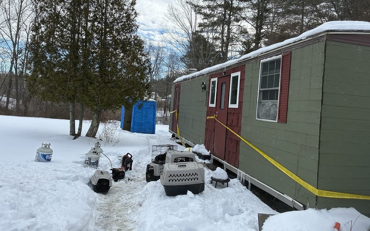 Fire burns Maine cat shelter