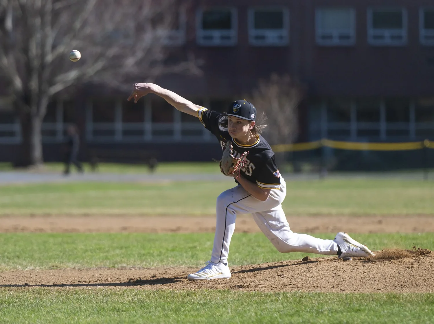 Baseball preview: Veteran leadership, young talent scattered throughout area squads