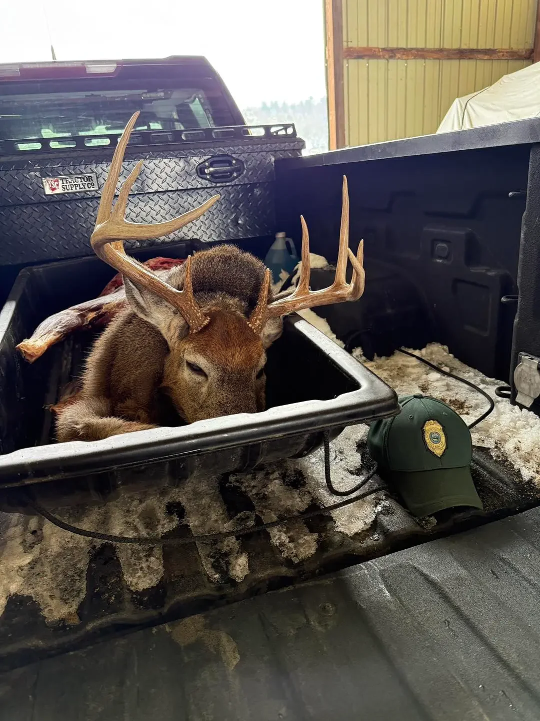 Reward offered for information about deer poaching in Piermont