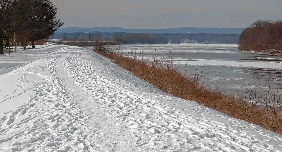 Comerford to prioritizes Hadley’s levee system in environmental bond bill