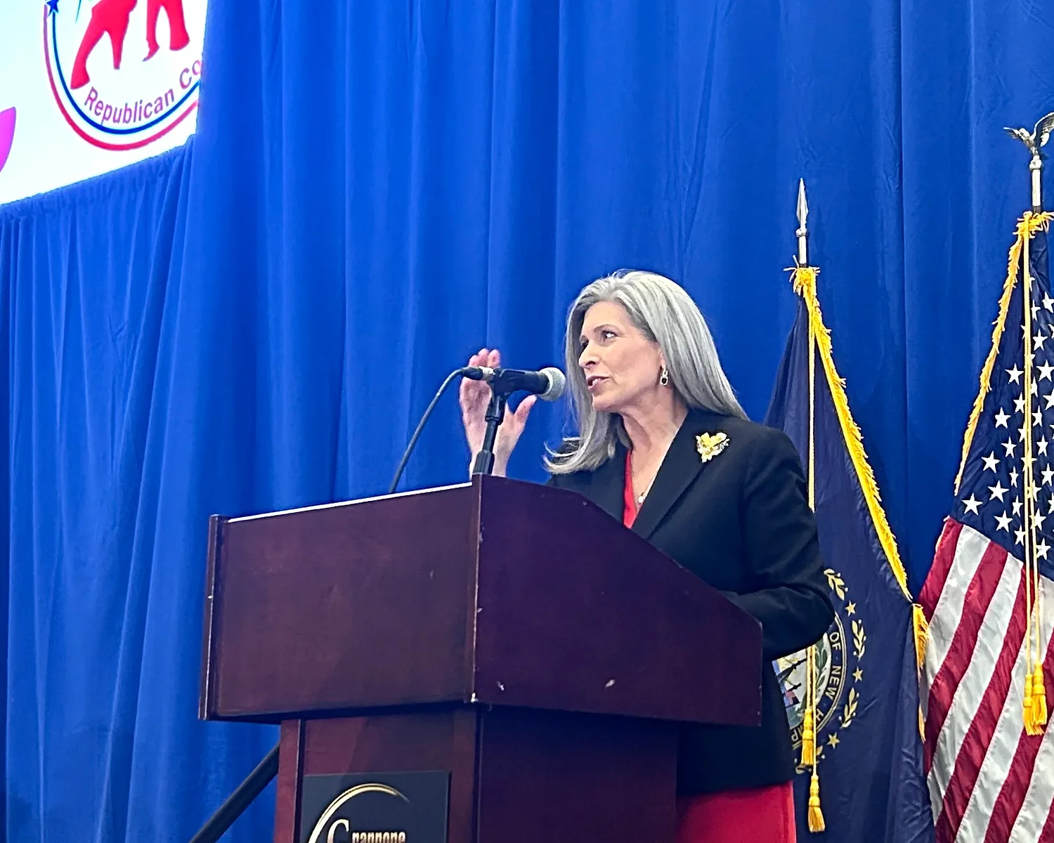 ‘We can bring Iran to its knees’: Joni Ernst justifies war at Republican event in Concord