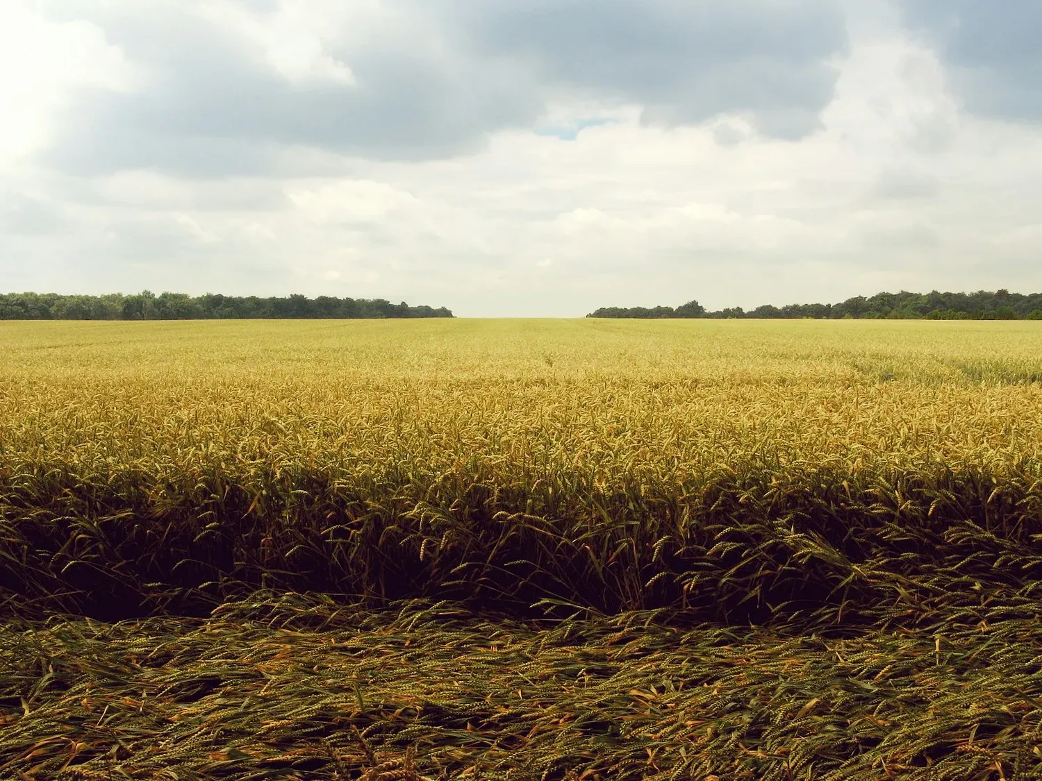 NFL Players Coalition draws attention to Black families' loss of farmland