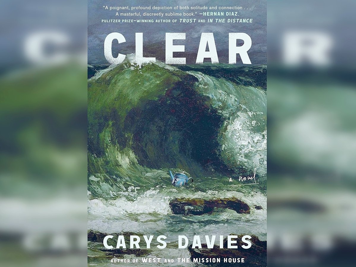 New novel from Welsh writer examines unexpected companionship on remote island