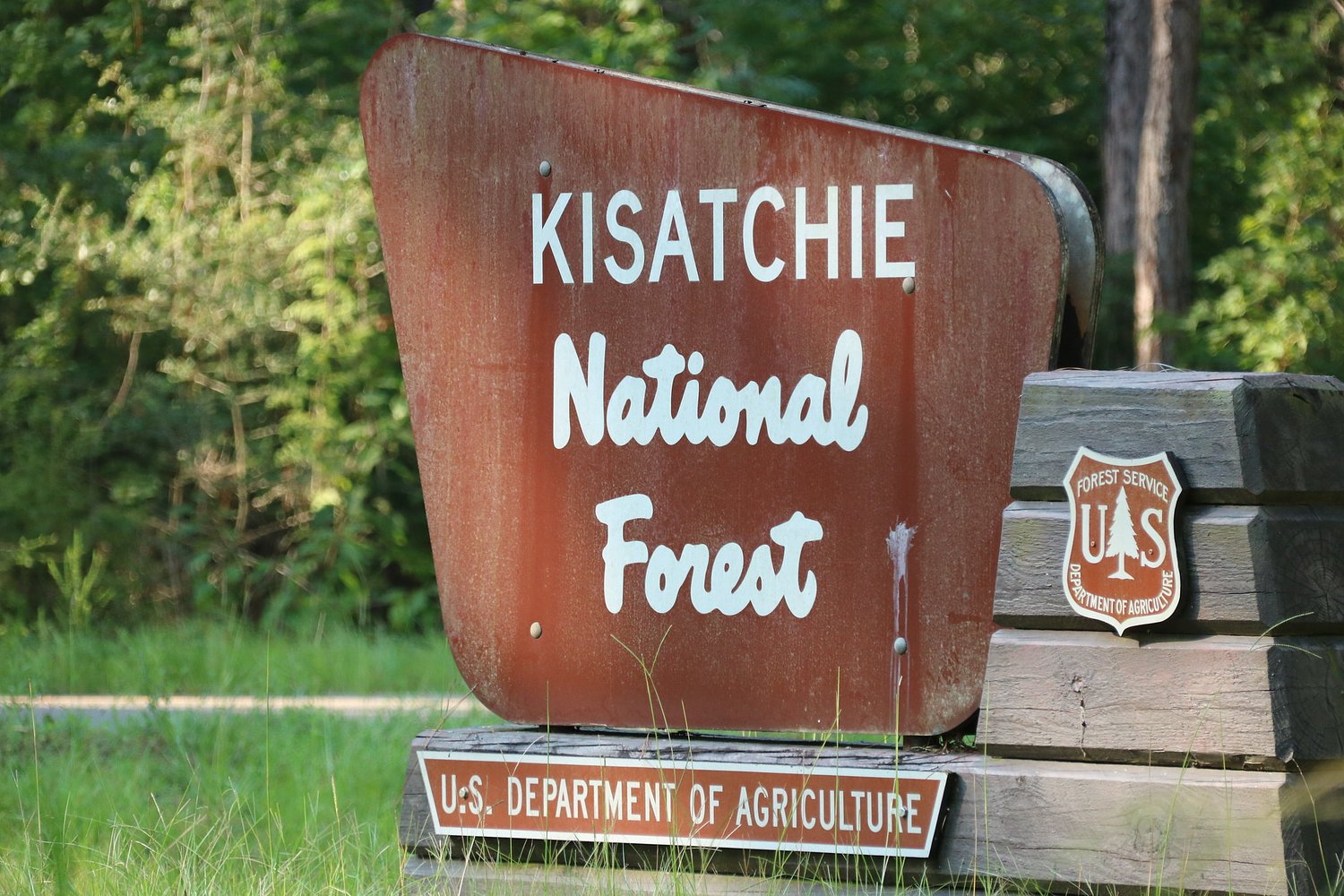 Senator Cassidy faces backlash with bill to break up Louisiana’s only national forest