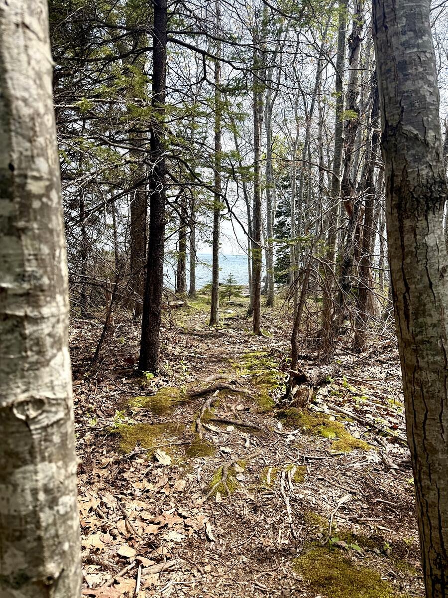 5 places off the beaten path in Acadia to visit this summer
