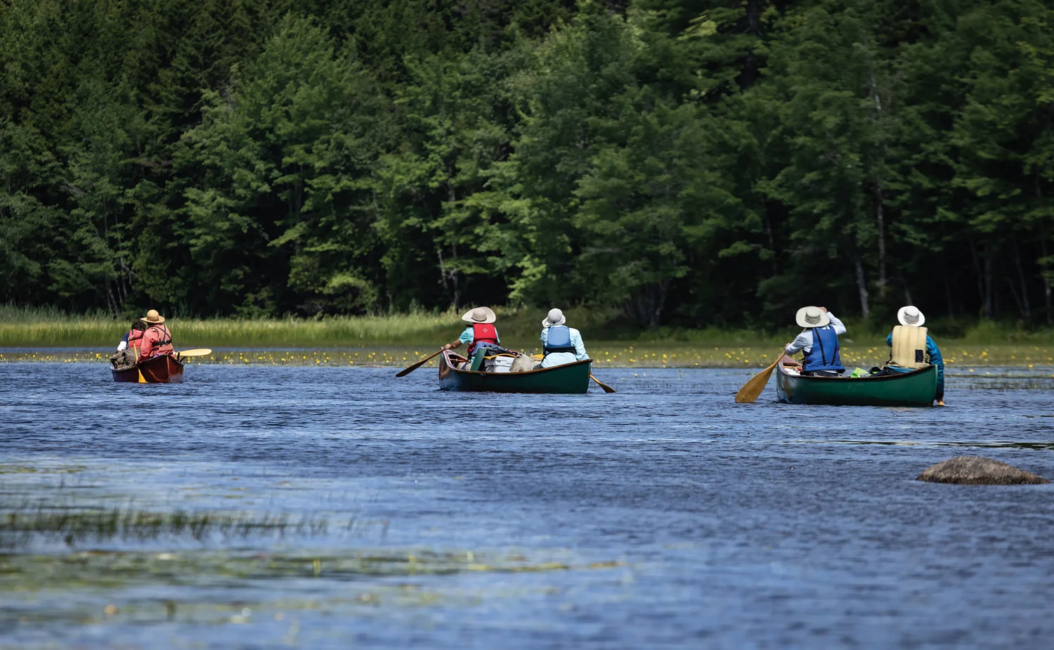 Grab a Paddle