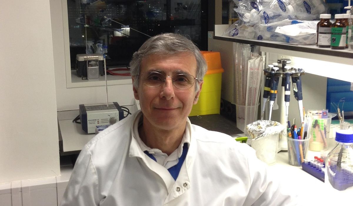 Are GMOs safe? A molecular geneticist speaks out