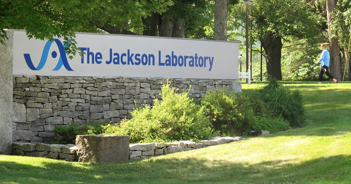 Former employee sues Jackson Lab claiming it failed to prevent sexual harassment