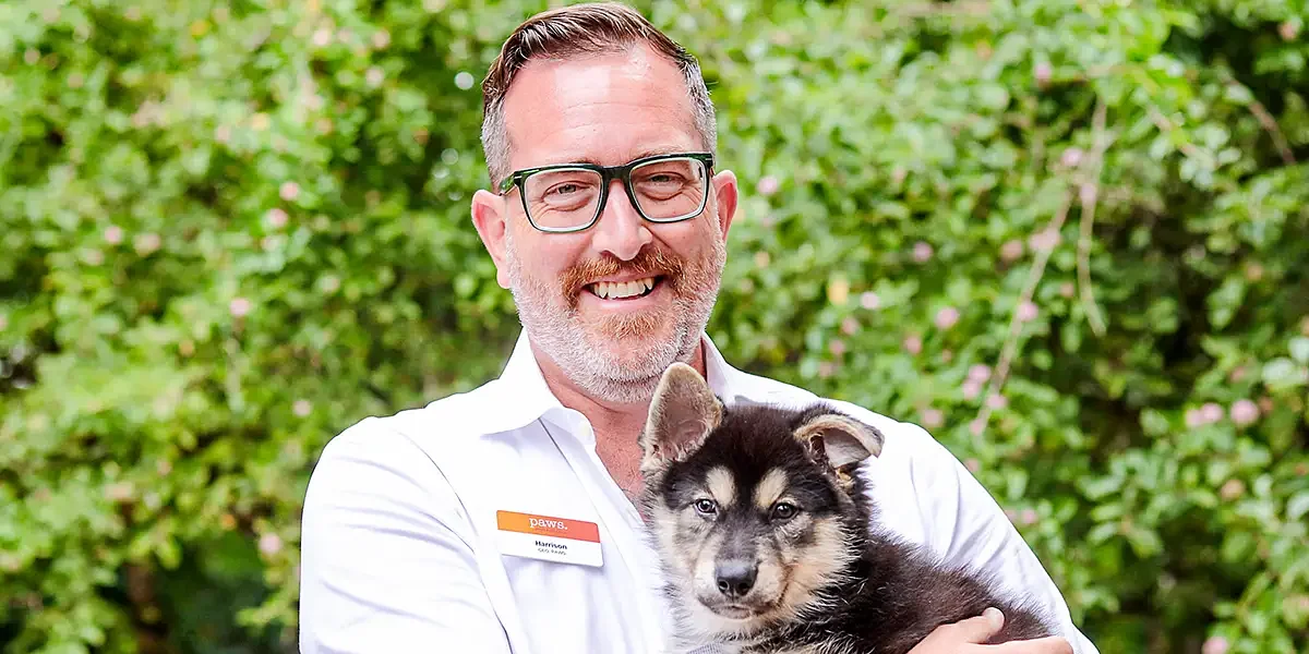 PAWS Appoints Harrison Edell As New Chief Executive Officer