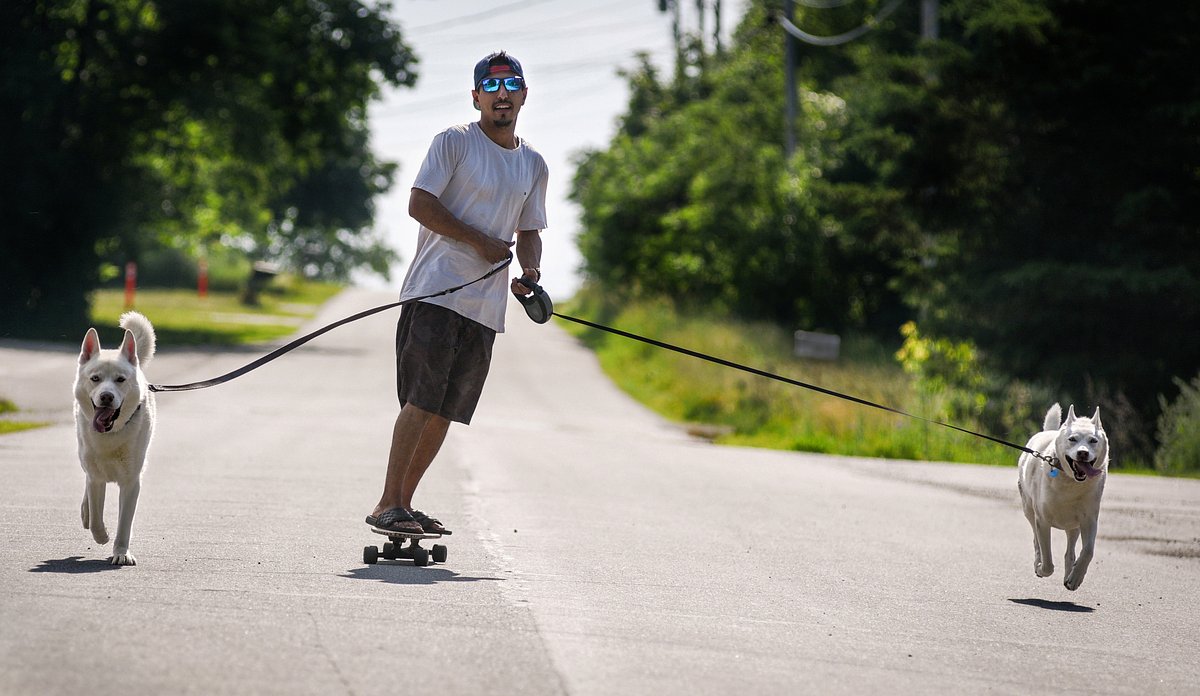 Ellsworth mulls possible dog park after years of being asked to build one