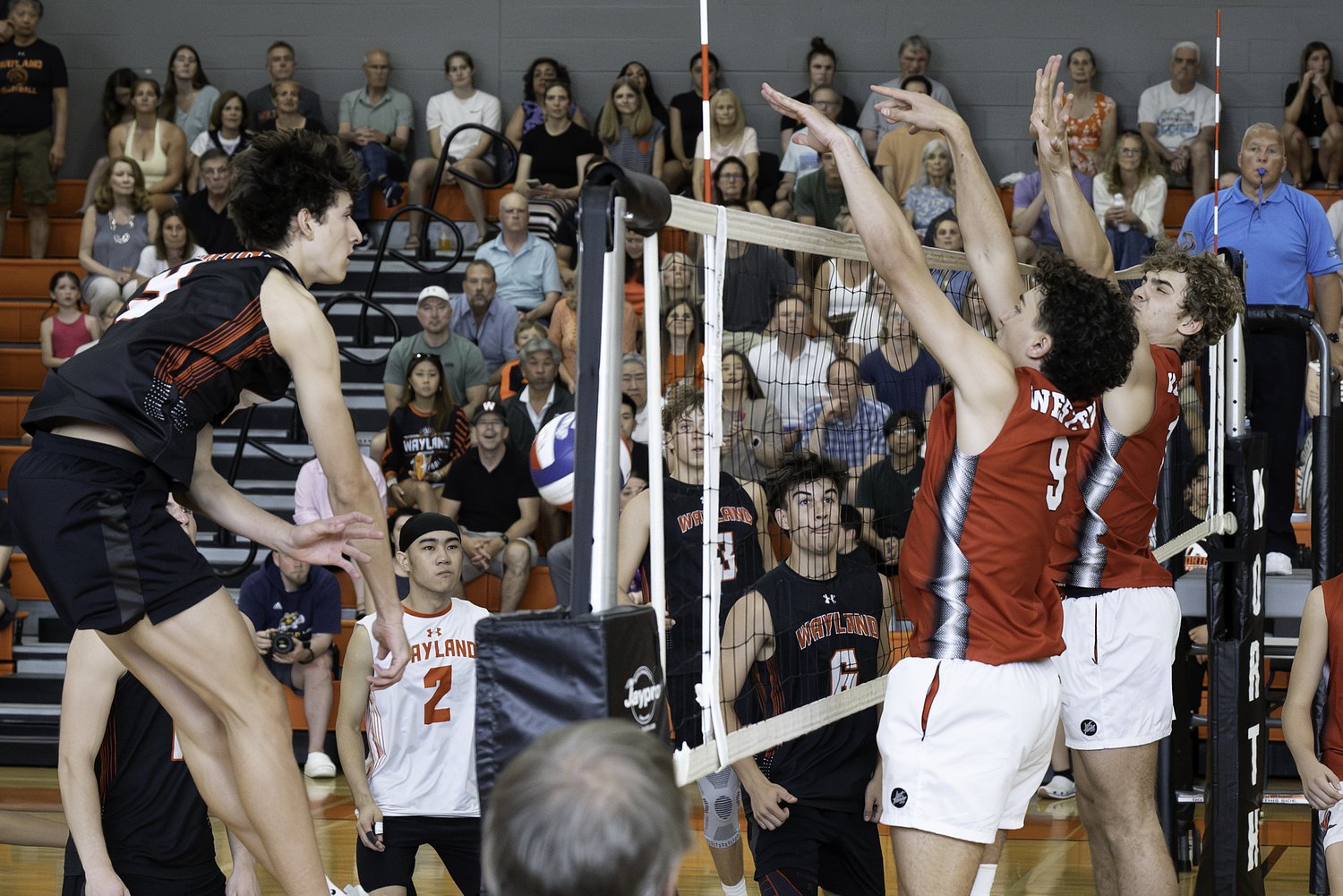 No. 1 Wayland overpowers No. 2 Westfield in D2 boys volleyball finals